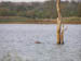 P9260229