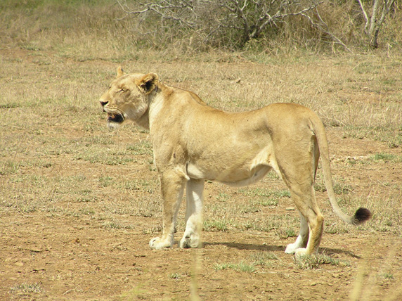 P9260201