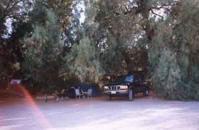 Oase im Death Valley